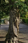 LothertonHall-52