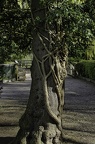 LothertonHall-61