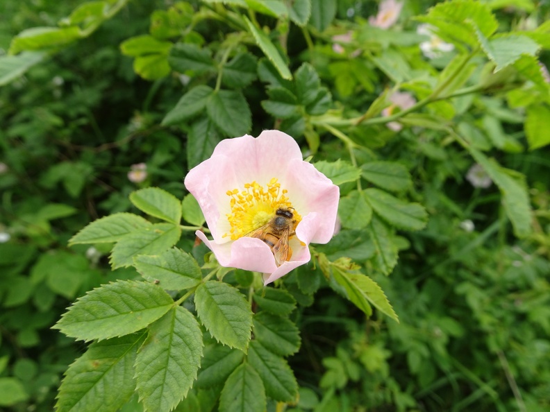 DSC00015
