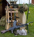 SGDR-10