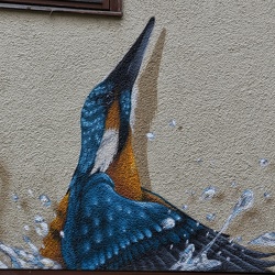 Murals