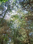 IMG20220813141217