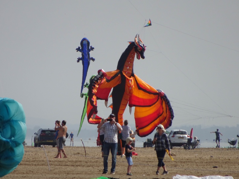DSC00649