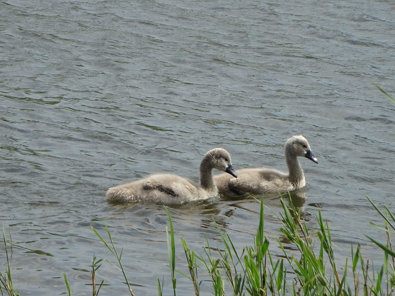 DSC00056