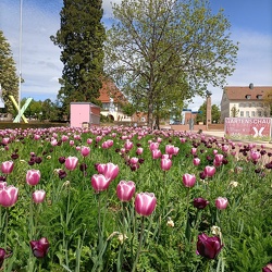 Freudenstadt